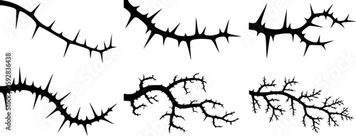 Black thorny branches with sharp spikes vector