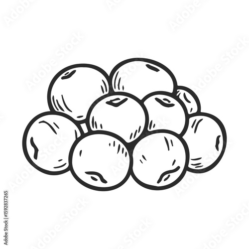 Wallpaper Mural Hand-drawn black and white cluster of blueberries illustration Torontodigital.ca