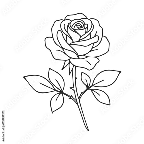 Detailed black and white rose drawing with leaves and thorns
