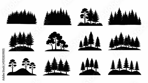 Collection of Black and White Forest Silhouettes Evergreen Trees and Pine Groves