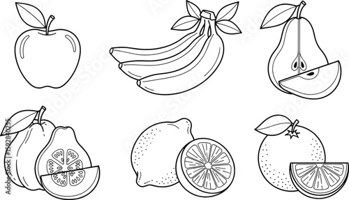 Collection of hand-drawn fruit outlines including pineapple, banana, apple, and more, perfect for coloring books, healthy eating, and fresh food themes.