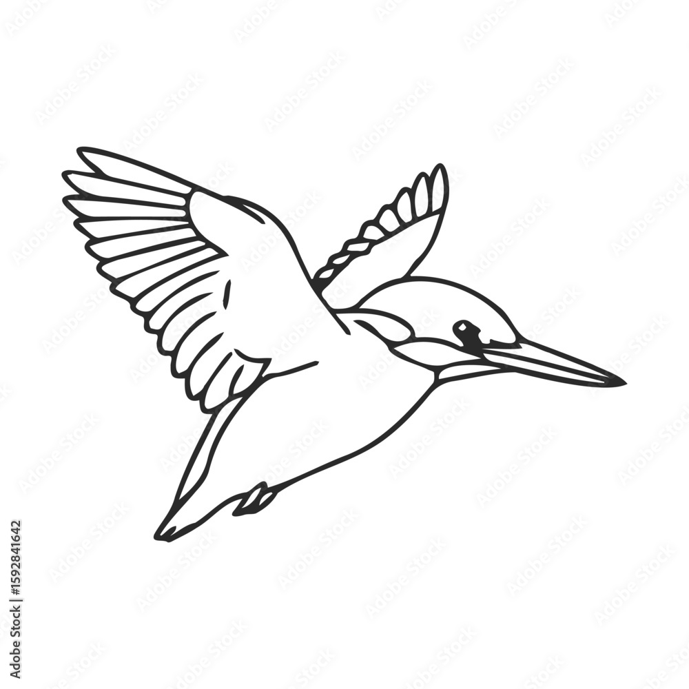 Obraz premium Black and white line drawing of kingfisher in flight with outstretched wings