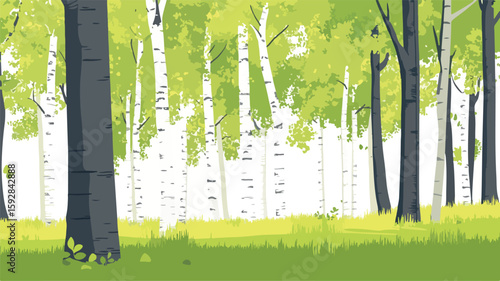 Birch Forest in Springtime: Fresh Green Landscape with Trees and Foliage