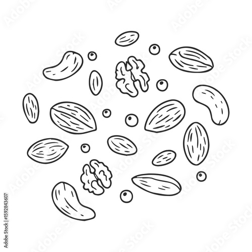 Hand-drawn assorted nuts pattern including almonds, walnuts, cashews, and hazelnuts