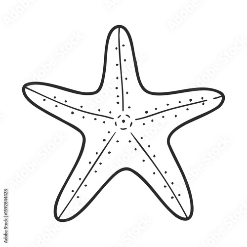 Simple black and white starfish drawing with dotted texture on white background