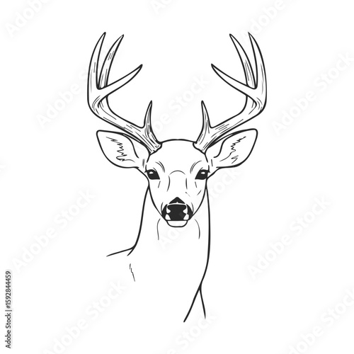 Illustrated deer with antlers in black and white line art drawing
