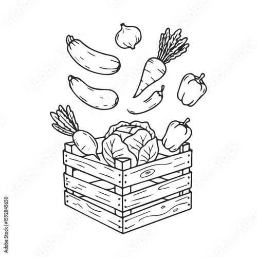 Hand-drawn crate of fresh vegetables with carrots, zucchini, onions, and peppers