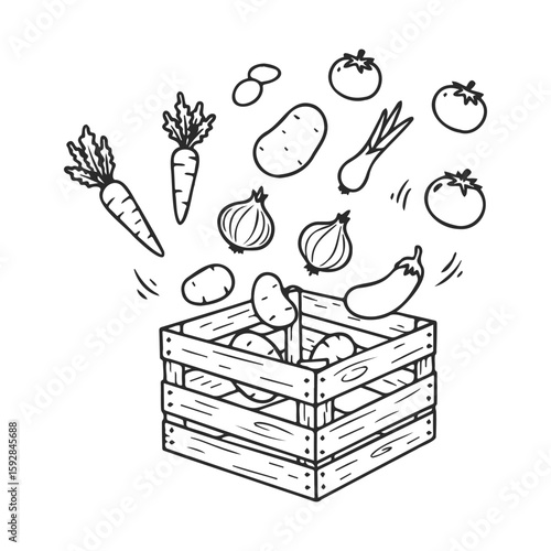 Sketch of fresh vegetables in a wooden crate with carrots, potatoes, and tomatoes