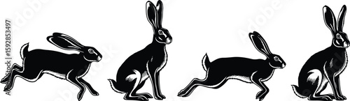A stylish sketch showing four rabbits in different style