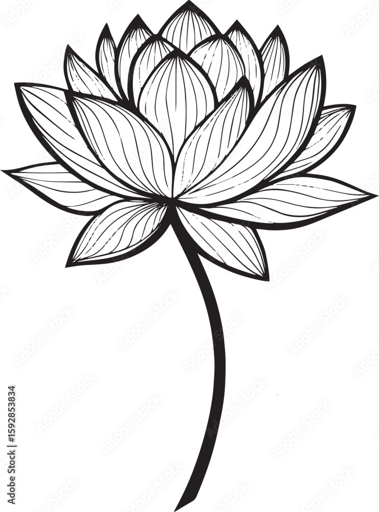 Fototapeta premium Lotus flower silhouette