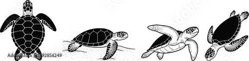 Sea turtles are depicted in a silhouette line art