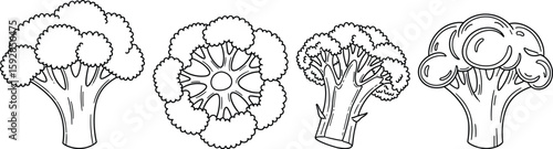 Outlined broccoli illustrations show healthy food