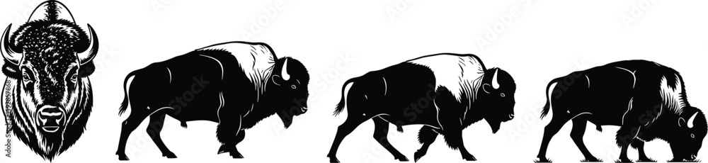 Fototapeta premium Majestic bison in black and white illustration