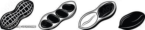 An artistic vector of peanuts in various styles 