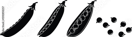 Peas in a pod display development