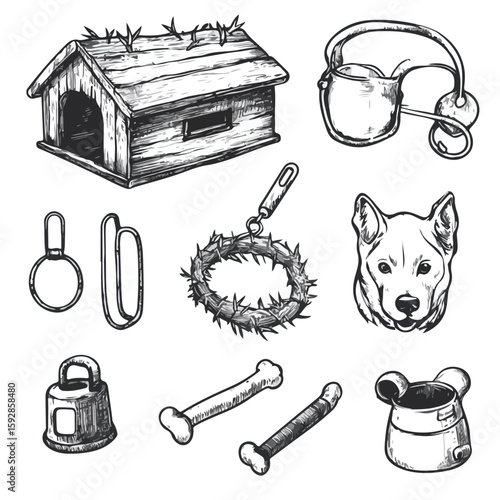 Pet Supplies Sketch Set with Dog Collar