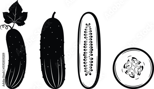 Fresh cucumber vegetable line art shows healthy