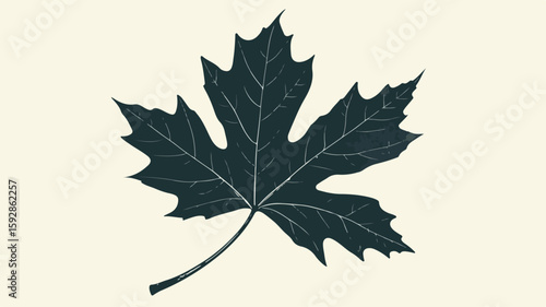 Sycamore Leaf Silhouette Vector for Design Projects
