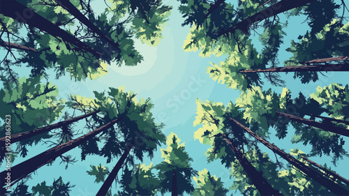 Majestic Tall Pine Trees Reaching Skyward: Forest Giants in the Wilderness