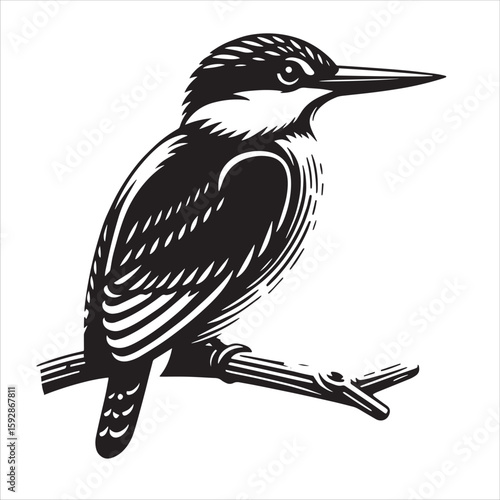 King fisher svg