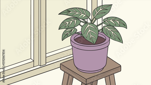Calathea plant care tips for indoor plants growing guide and home decor ideas with plant on stool near window