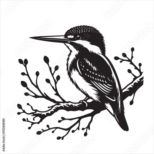 King fisher svg