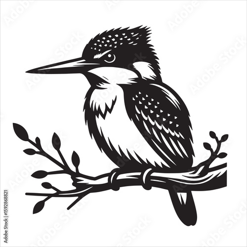 King fisher svg