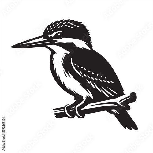 King fisher svg