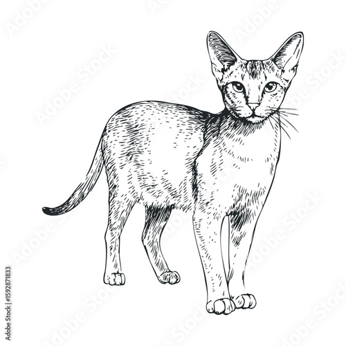 Playful cat illustration for home decor and stationery design