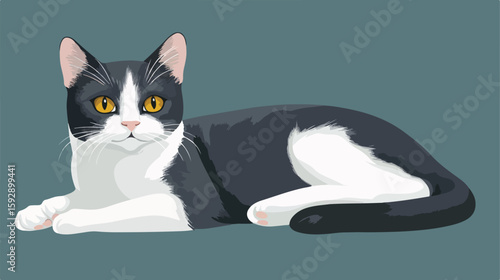 Grey White Cat Vector Illustration
