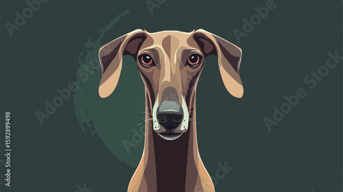 Greyhound Front View Vector Illustration