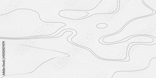  Topographic map and landscape terrain texture grid. White wave paper curved reliefs abstract background, Abstract topographic contours map background, Topography map background