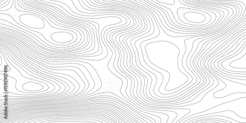  Topographic map and landscape terrain texture grid. White wave paper curved reliefs abstract background, Abstract topographic contours map background, Topography map background