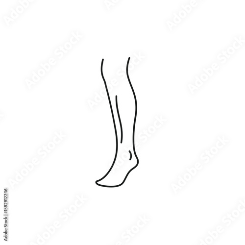 Human leg graphic stands isolated showcasing anatomy outline detail