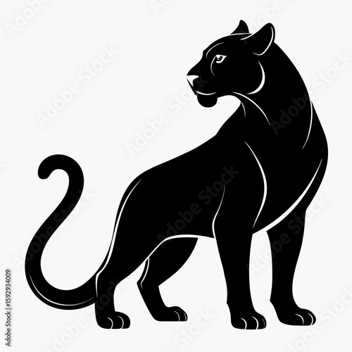 Panther, Cat, Feline, Animal, Predator, Wild, Nature, Wildlife, Black, Graceful, Sleek, Powerful, Hunter, Panthera, Puma, Jaguar, Leopard, Stealthy, Agile, Muscular, Strong, Swift, Quick, Nimble, Lith