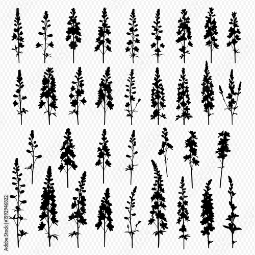 A collection of thirty-two black silhouette illustrations of various flowering plant stems and stalks, arranged in a grid-like pattern on a transparent background.