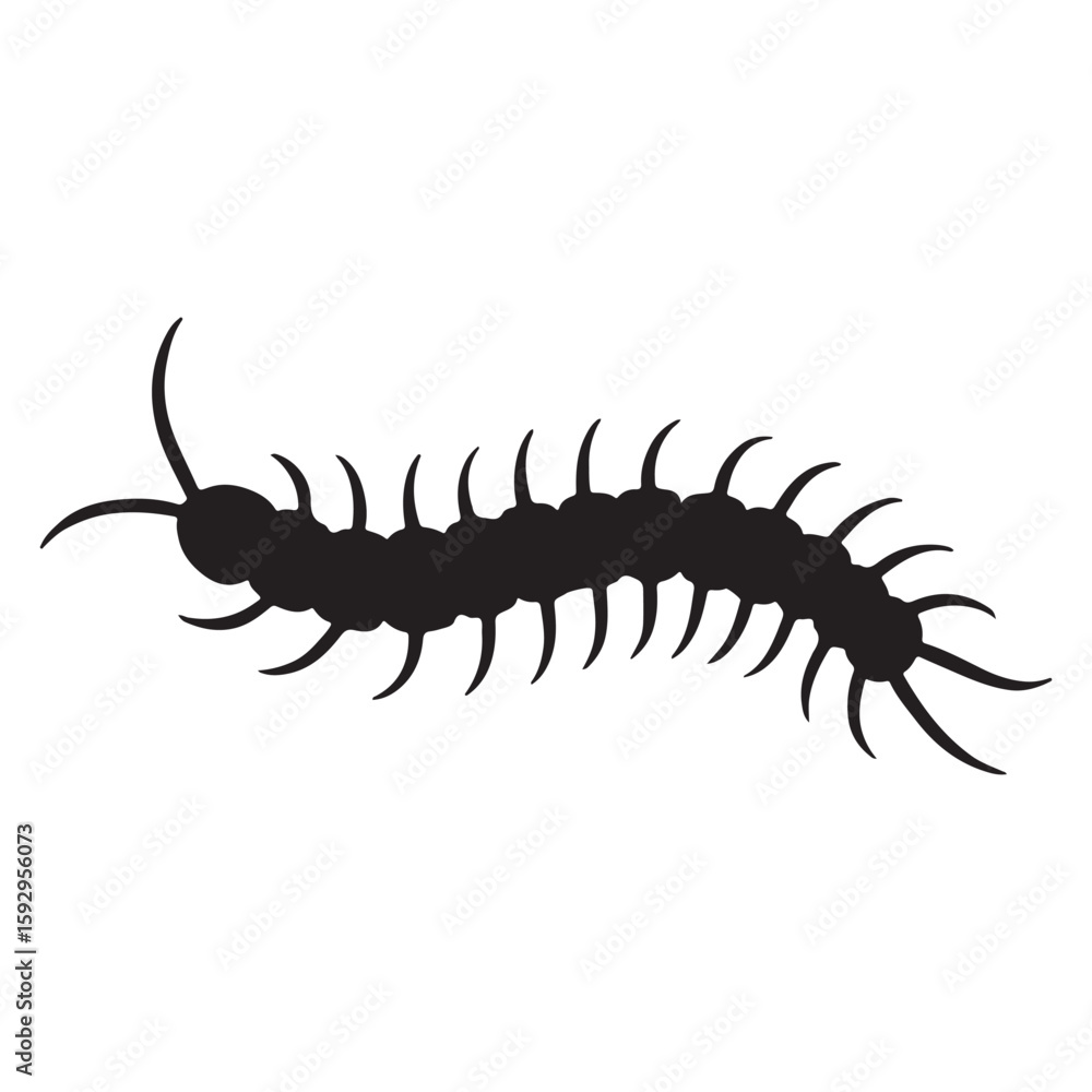 Fototapeta premium Centipede Silhouette Icon with Many Legs in Creepy Style
