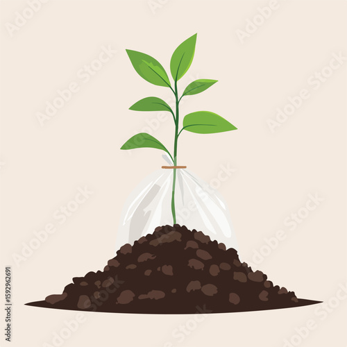 Growth of Young Plant in Plastic Bag