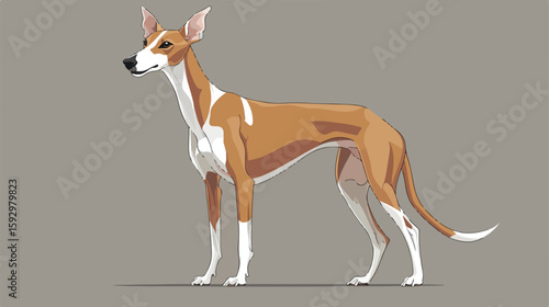 Greyhound Dog Icon Flat Vector Illustration