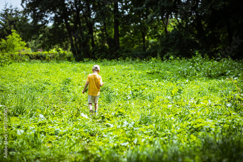 A lonely little boy on a walk in the park
