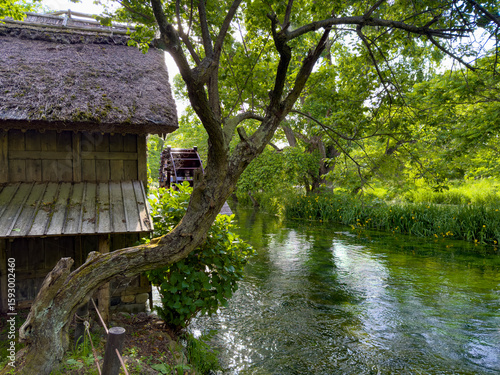wonderful old watermill at a wasabi farm near Matsumoto in Japan