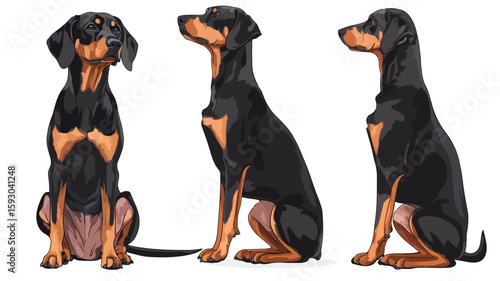 Dog Cut Out Element Set Wide Angle