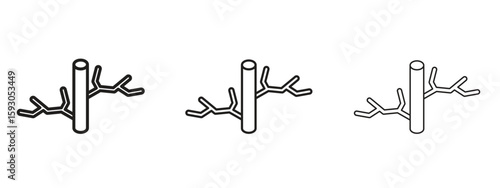 Blood vessel icon in trendy line style. icon illustrations