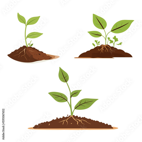 Plant seedlings in flat color vector style