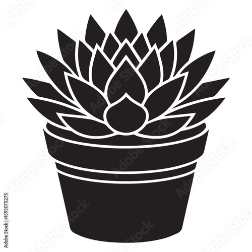 A potted succulent plant with intricate leaf patterns, isolated on white background, showcases a simple and elegant botanical design, perfect for indoor decoration Vector Art