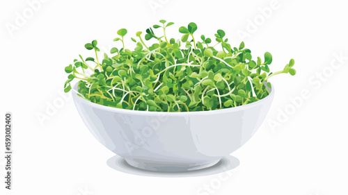 Fresh Sprout Salad in White Bowl