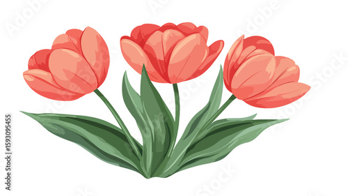 Elegant Tulips on White Background