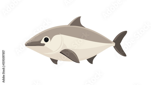 Underwater Vaquita Marine Mammal Composition