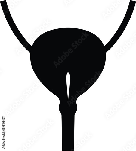 Urinary Bladder Black Silhouette - AI Generative
