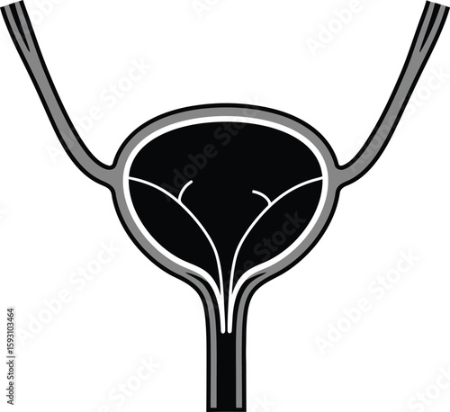 Urinary Bladder Detailed Internal View - AI Generative
